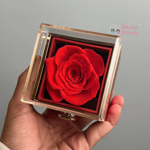 Preserved Rose Premium Box ( This is Only Box ) - Photo Jewels